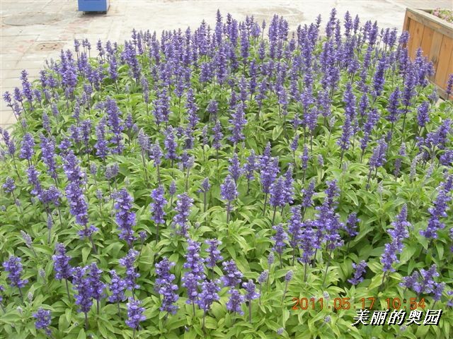 BigBull_110517 11年科技周 027.jpg