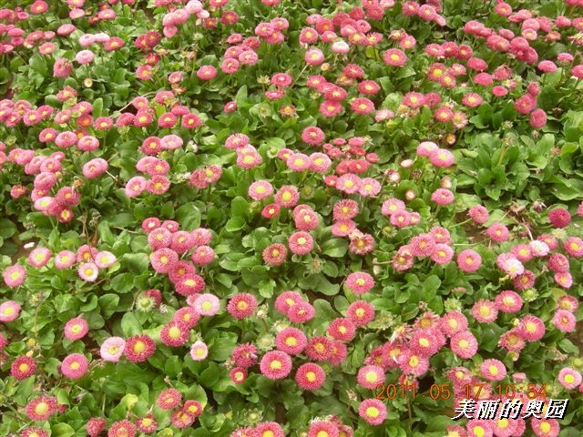 BigBull_110517 11年科技周 028.jpg