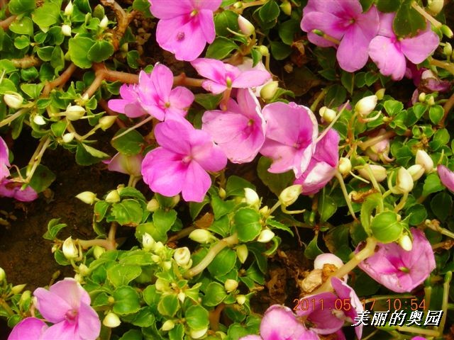 BigBull_110517 11年科技周 030.jpg