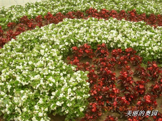 BigBull_110517 11年科技周 032.jpg