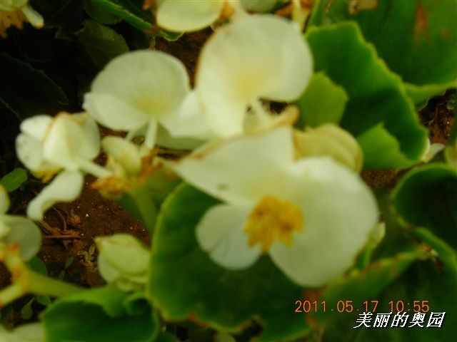 BigBull_110517 11年科技周 033.jpg