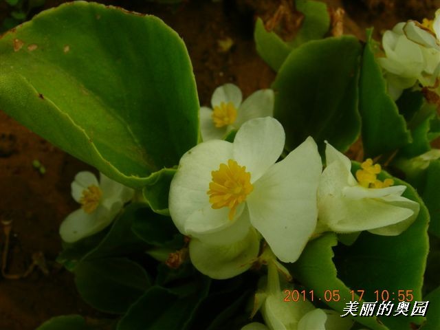 BigBull_110517 11年科技周 034.jpg