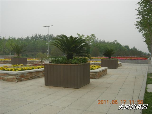 BigBull_110517 11年科技周 106.jpg