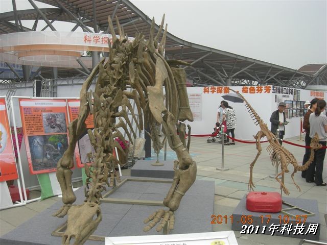 BigBull_110517 11年科技周 036.jpg