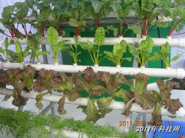 BigBull_110517 11年科技周 044.jpg