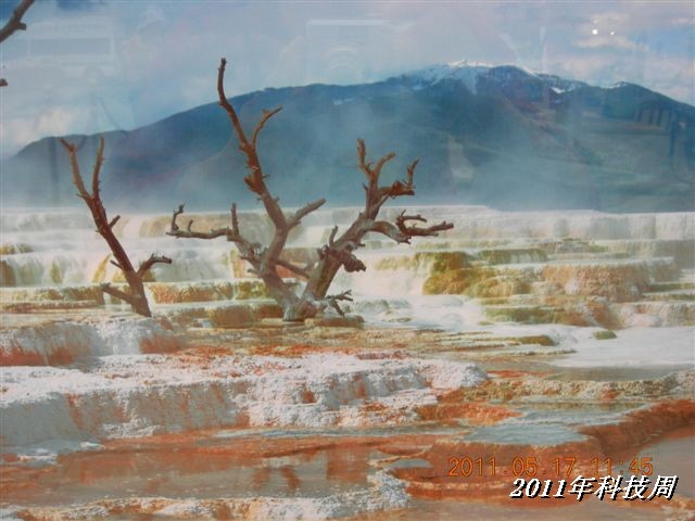 BigBull_110517 11年科技周 090.jpg