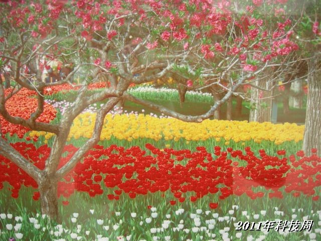 BigBull_110517 11年科技周 096.jpg