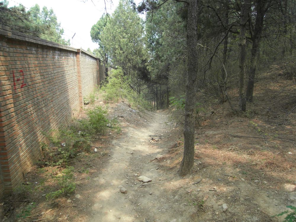 果园的第一个休息点