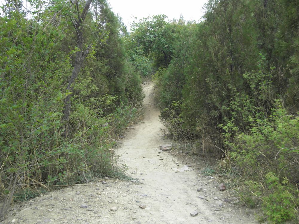 第3个休息点 茶棚下迎面坡的入口