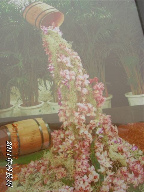 BigBull_110517 11年科技周 088.jpg