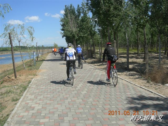 BigBull_110521 小游顺义 010.jpg