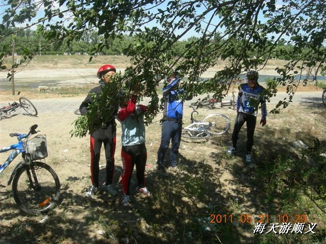 BigBull_110521 小游顺义 018.jpg