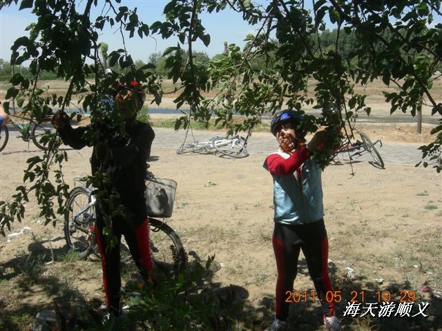 BigBull_110521 小游顺义 019.jpg