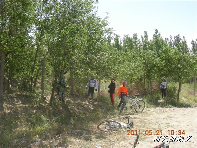 BigBull_110521 小游顺义 023.jpg