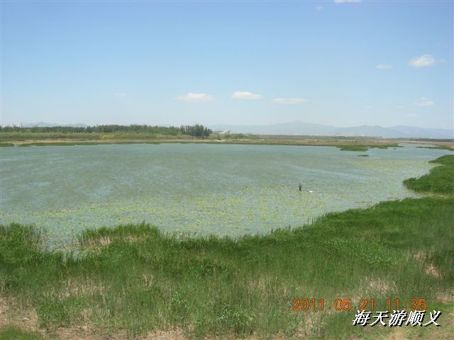 BigBull_110521 小游顺义 053.jpg