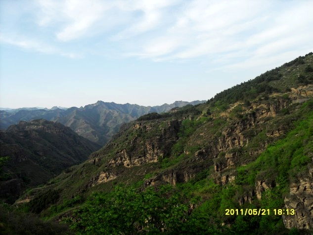 conew_sdc18824_conew1.jpg
