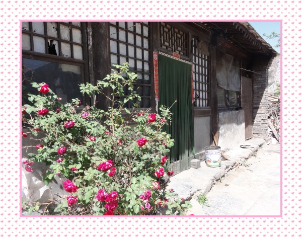 花，那里都需要美