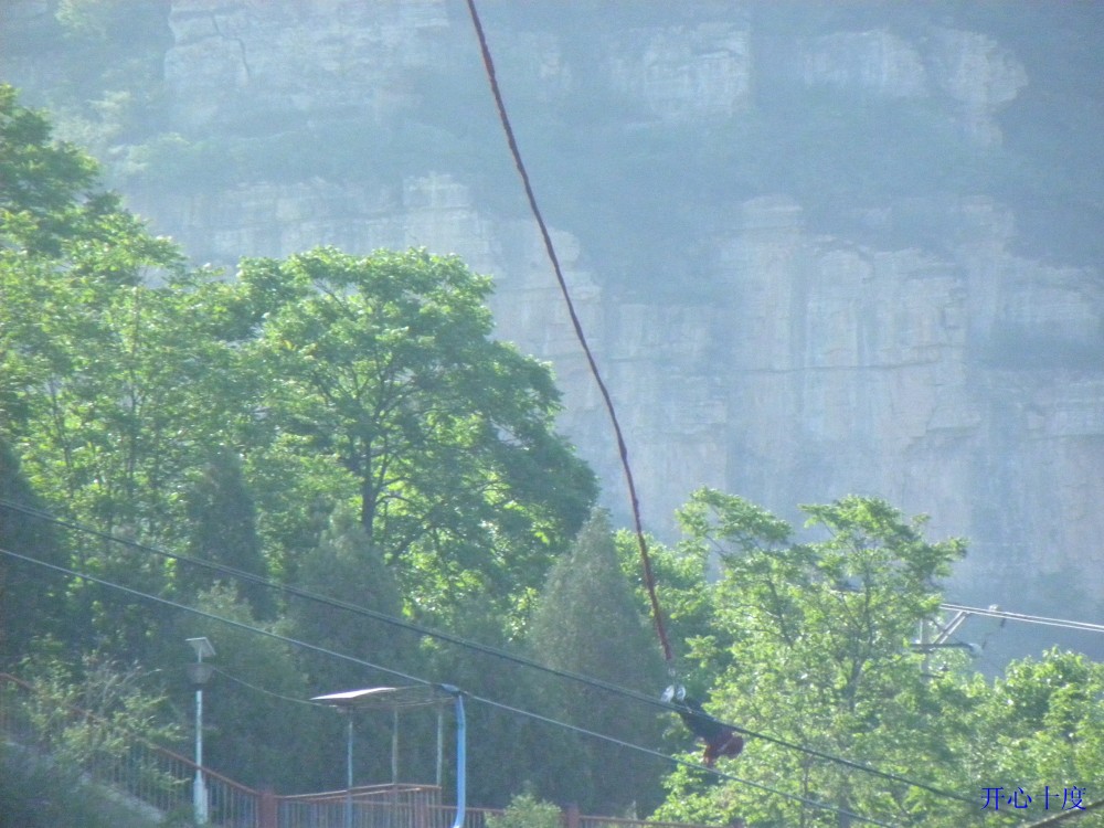 又一个蹦下来了