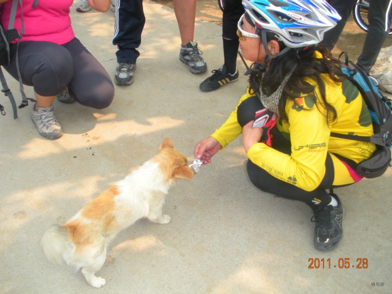 满队将牛肉干喂狗了