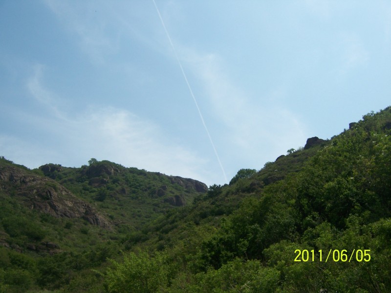 conew_照片 010.jpg