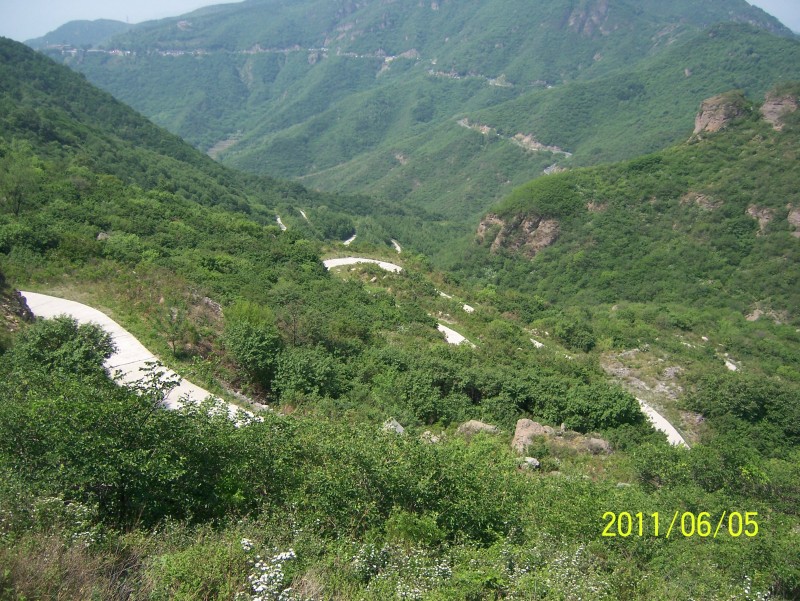 conew_照片 014.jpg