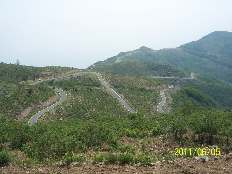 conew_照片 020.jpg