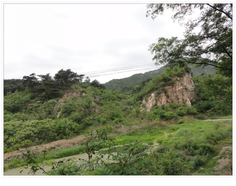 conew_复件 dsc01439[1].jpg