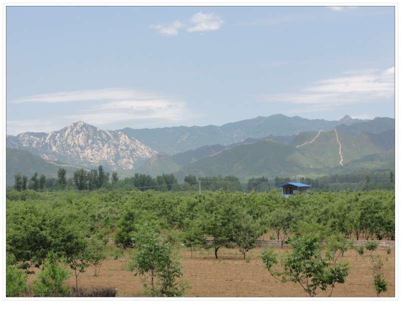 conew_复件 dsc01451[1].jpg