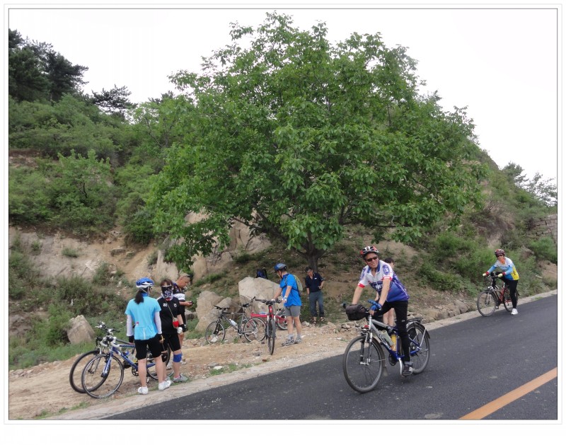 conew_复件 dsc01444[1].jpg