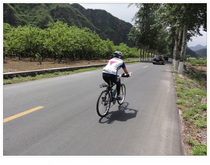 conew_复件 dsc01462[1].jpg