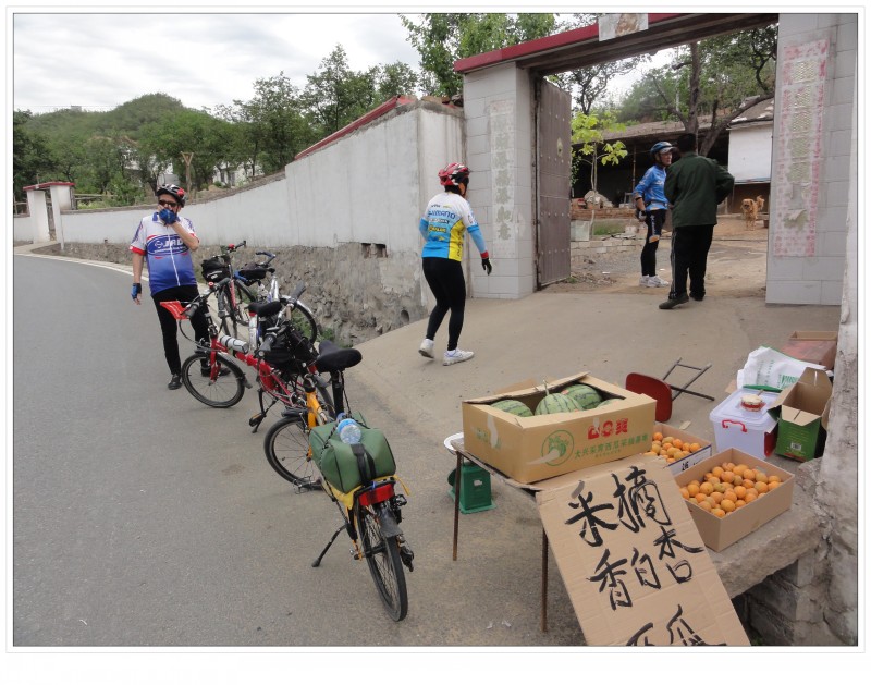 看到路边看看谁飞的高和杏的高