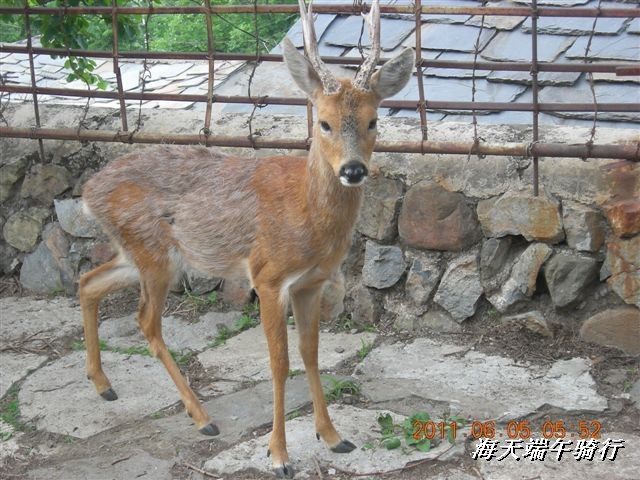 BigBull_端午骑行 107.jpg