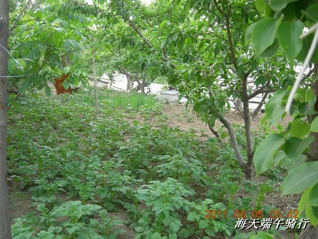 BigBull_端午骑行 104.jpg