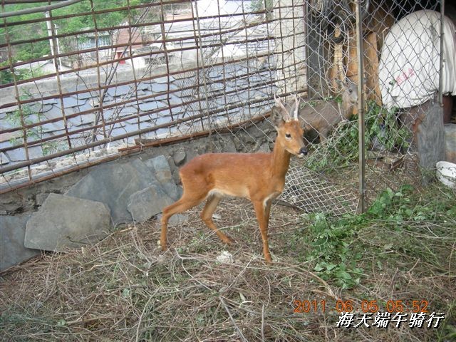 BigBull_端午骑行 106.jpg