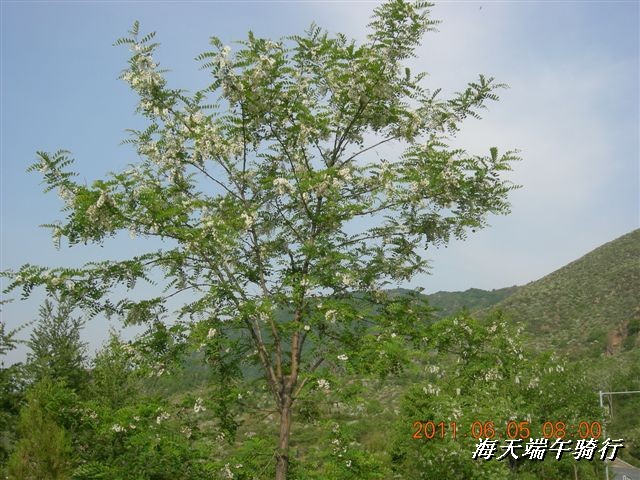 BigBull_端午骑行 140.jpg