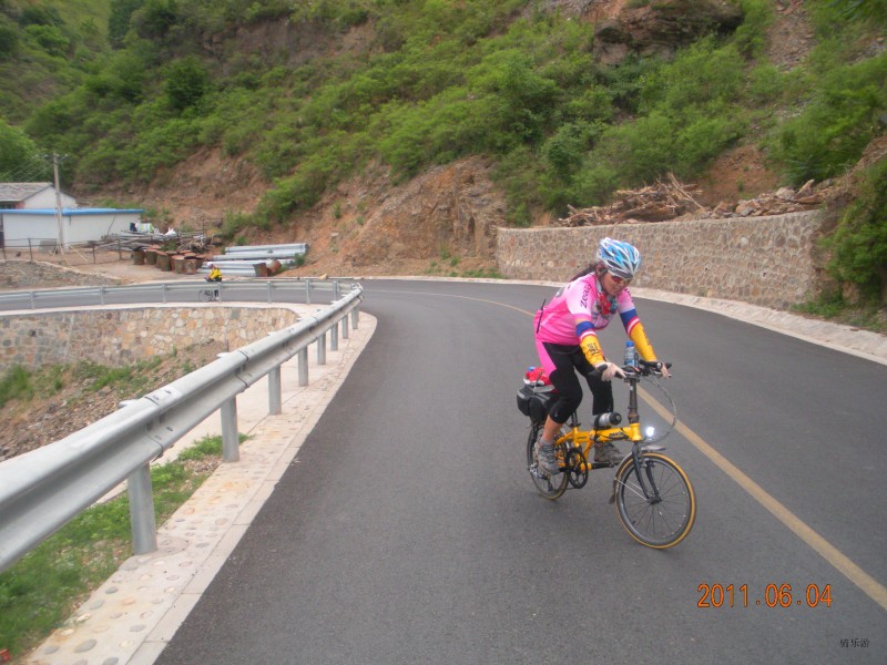 汪氏命名-欧美茄弯