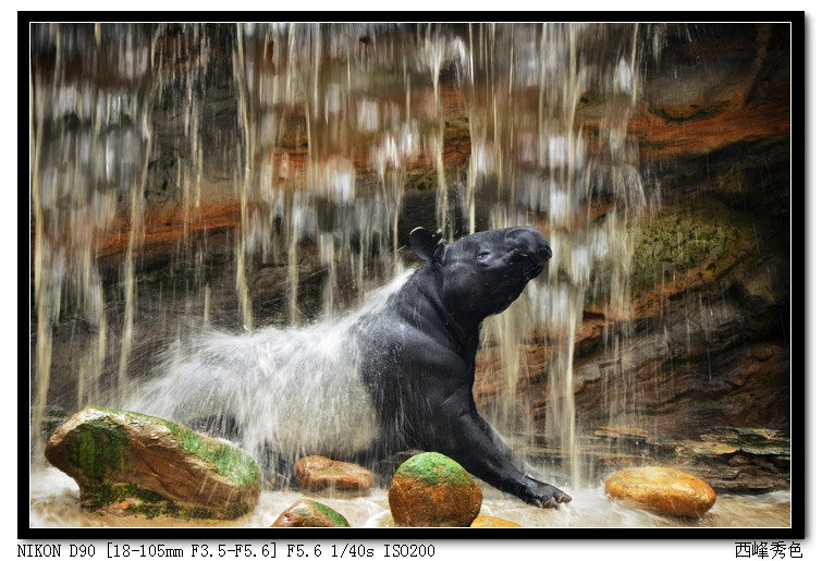 贵妃洗浴，不要偷看？!