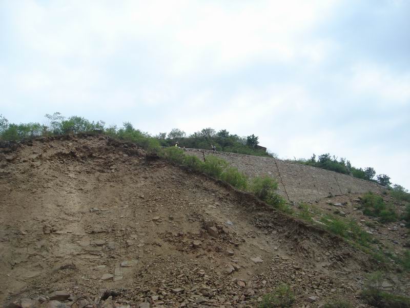 调整大小 DSC08288.JPG