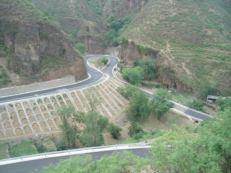 调整大小 DSC08291.JPG