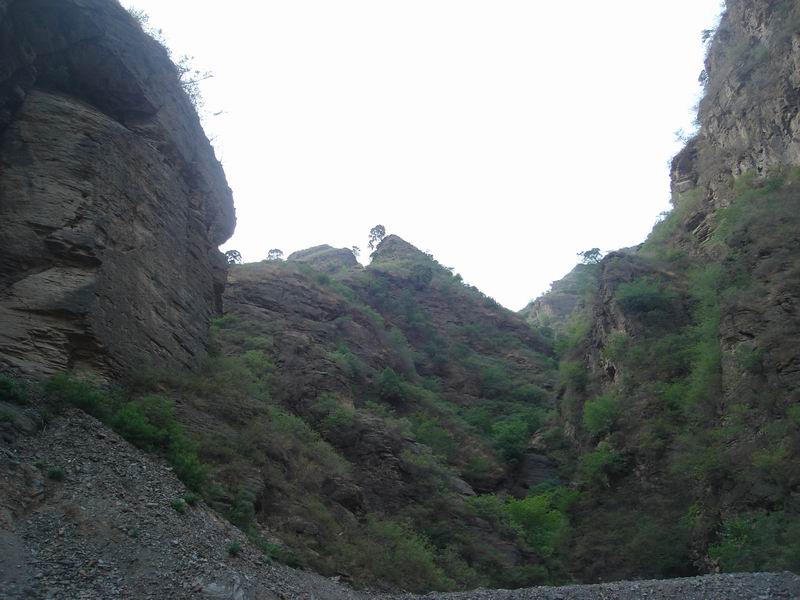 调整大小 DSC08342.JPG