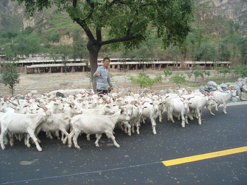 调整大小 DSC08367.JPG