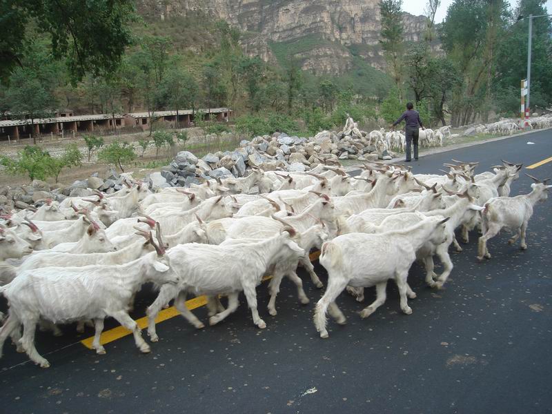 调整大小 DSC08368.JPG