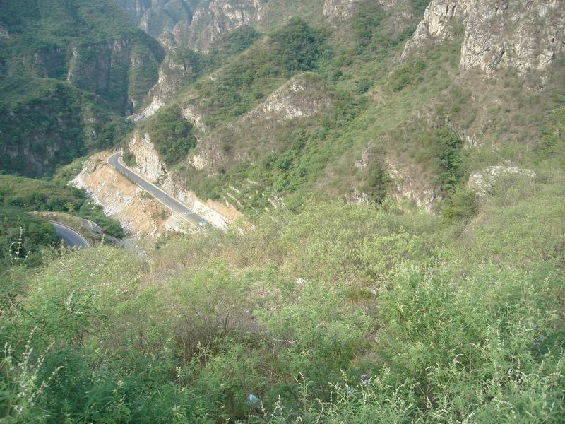 调整大小 DSC08414.JPG