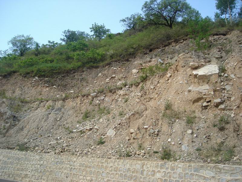 调整大小 DSC08423.JPG