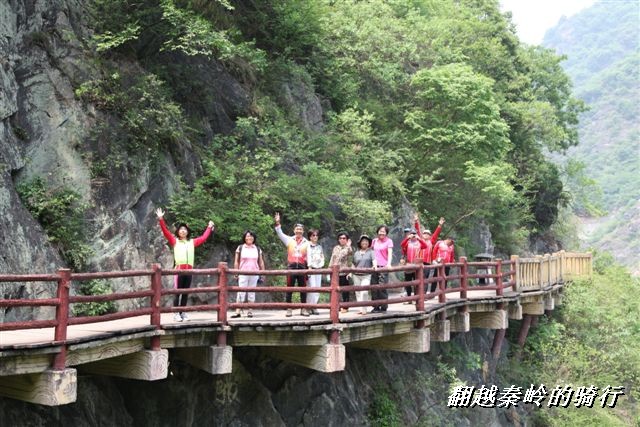 BigBull_IMG_8197 (65).jpg