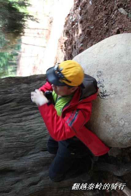 BigBull_IMG_8488 (22).jpg