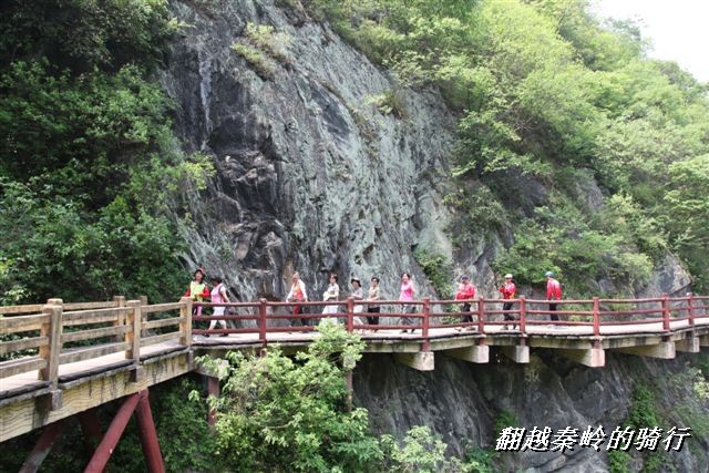 BigBull_IMG_8199 (67).jpg