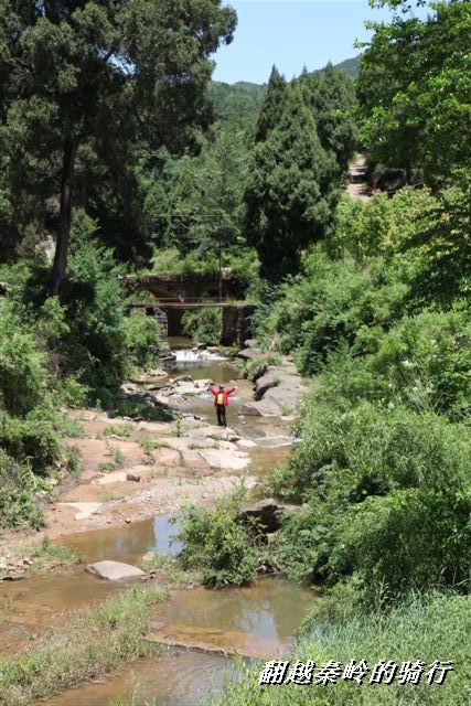 BigBull_IMG_8428 (45).jpg