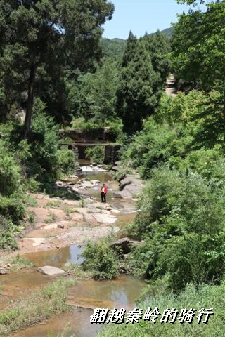 BigBull_IMG_8429 (46).jpg