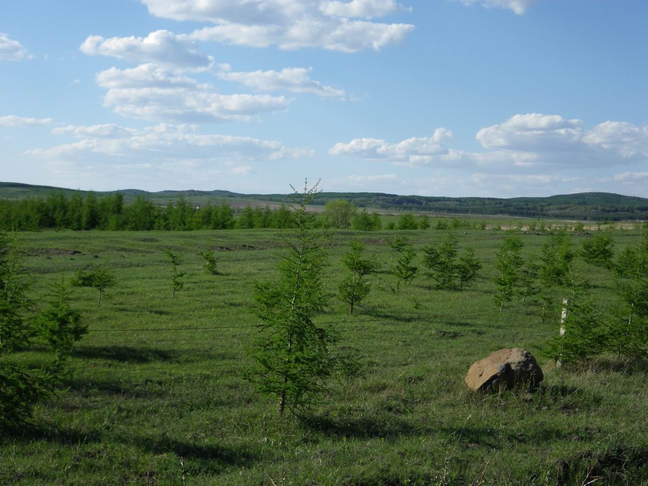 调整大小 IMGP0307.JPG